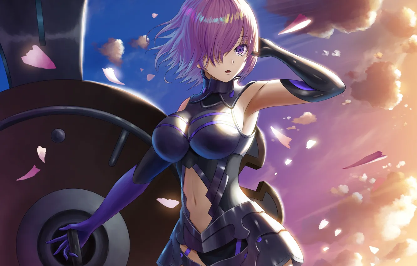 Photo wallpaper girl, the wind, Fate / Grand Order, The destiny of a great campaign
