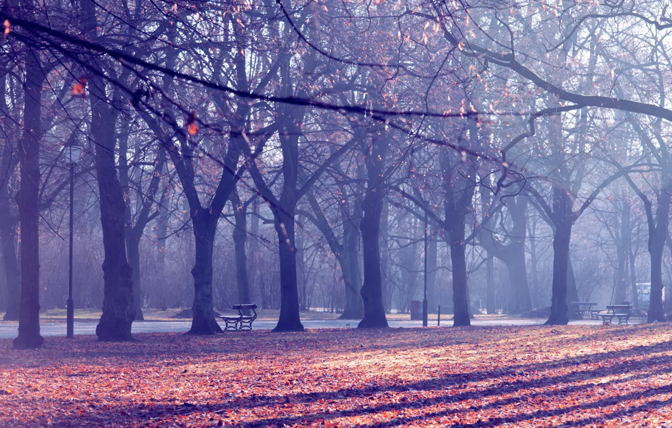 Photo wallpaper autumn, the city, Park