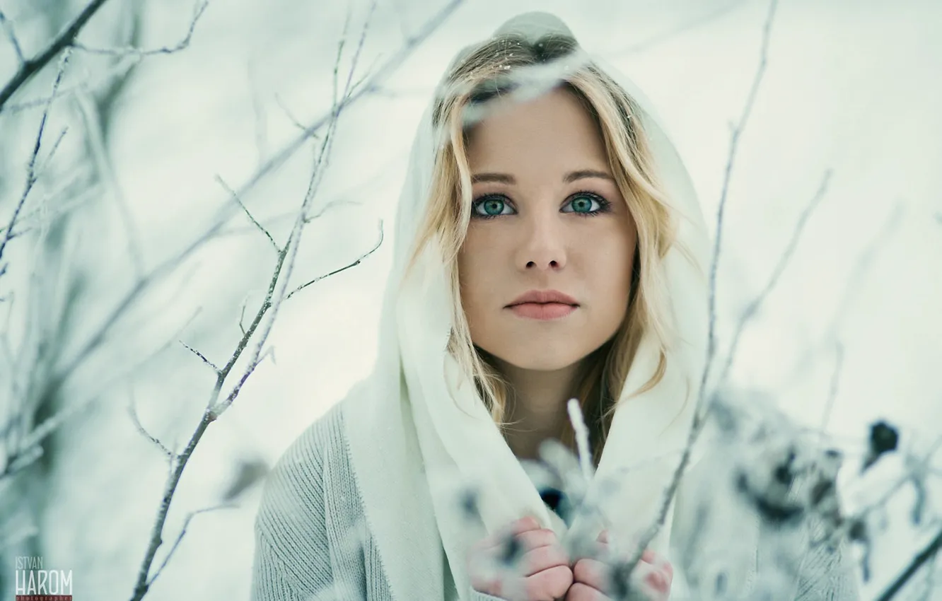 Photo wallpaper winter, branches, portrait, hairstyle, blonde, beauty, shawl, Petra