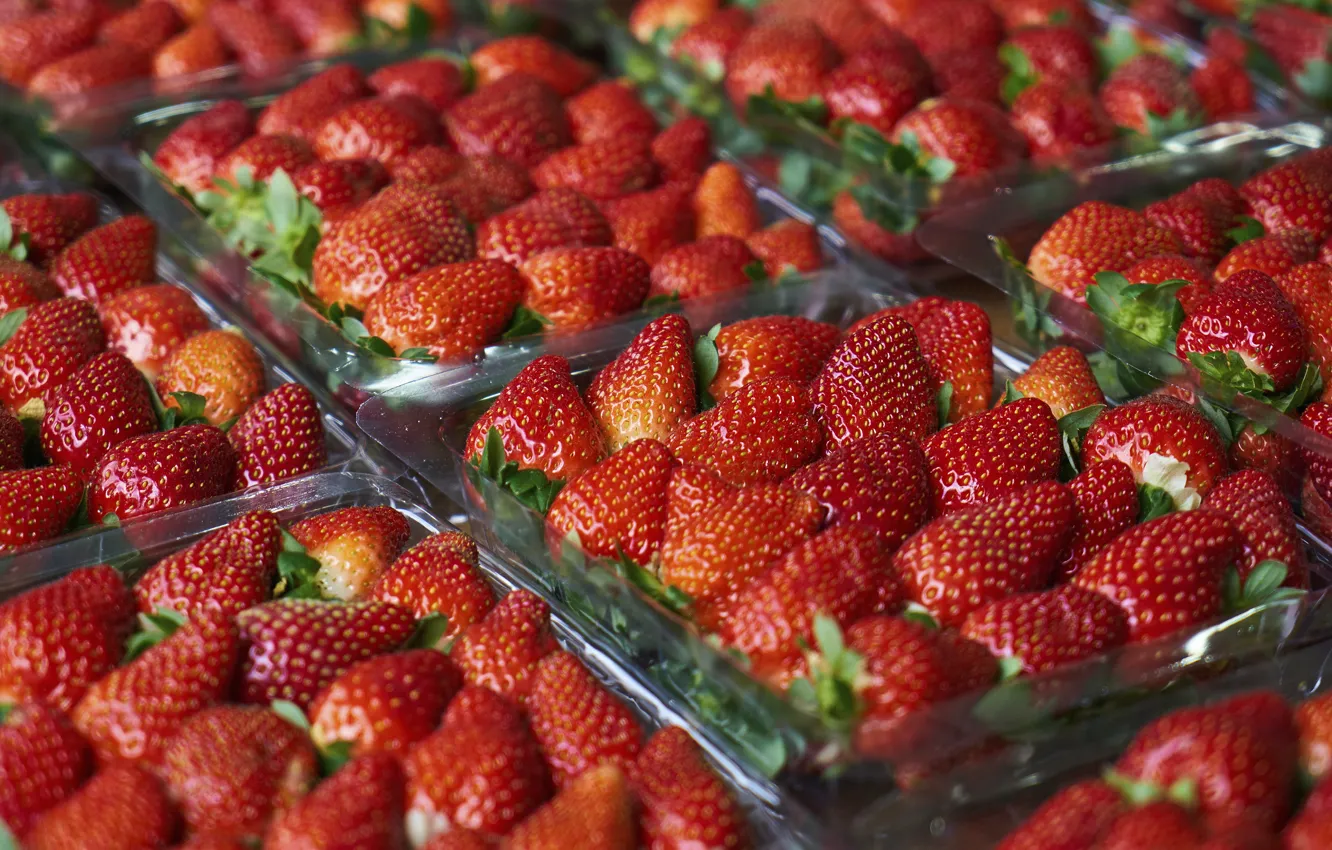 Photo wallpaper berries, strawberry, container, tray, a lot