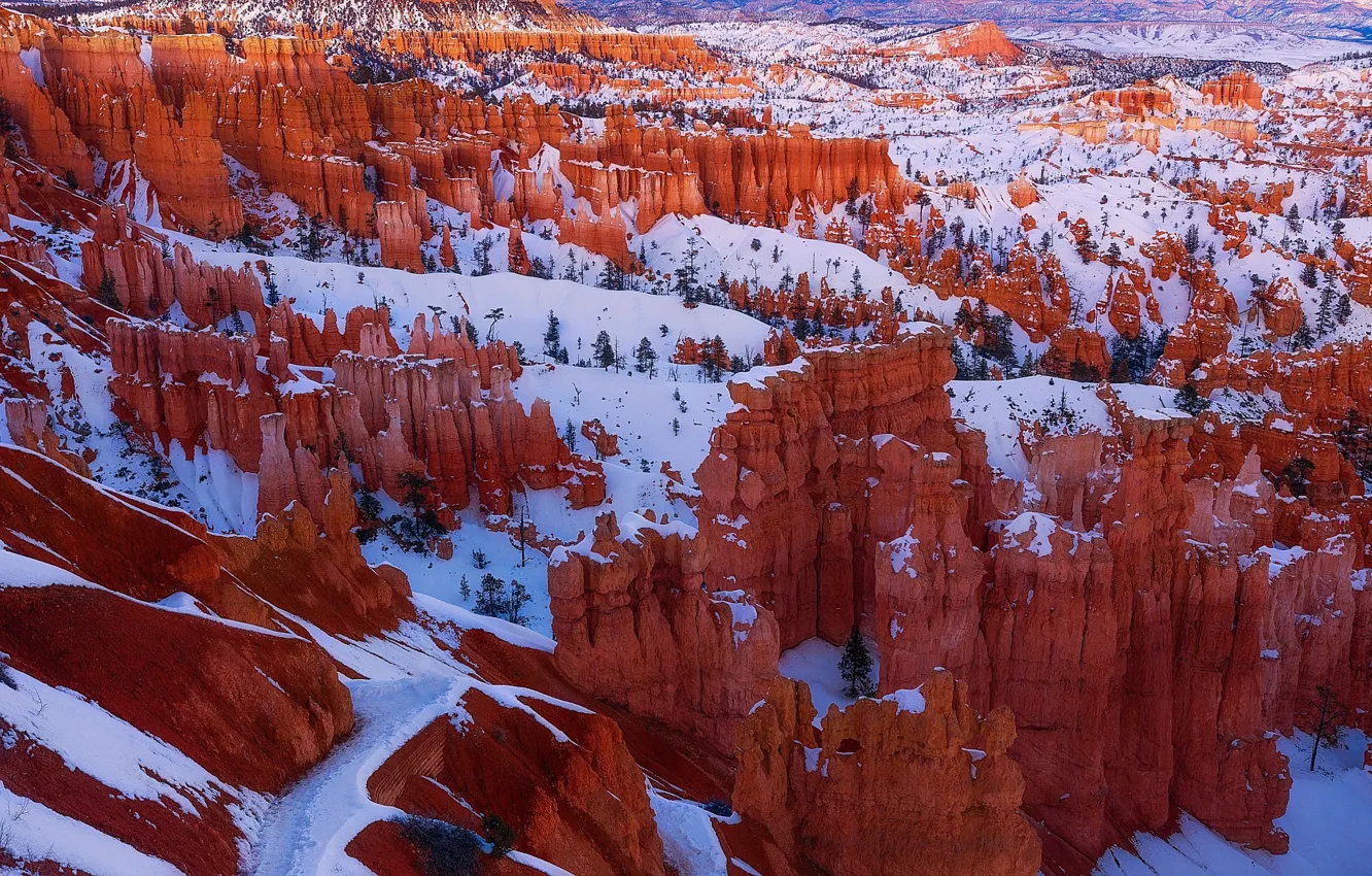 Photo wallpaper winter, snow, nature, canyon