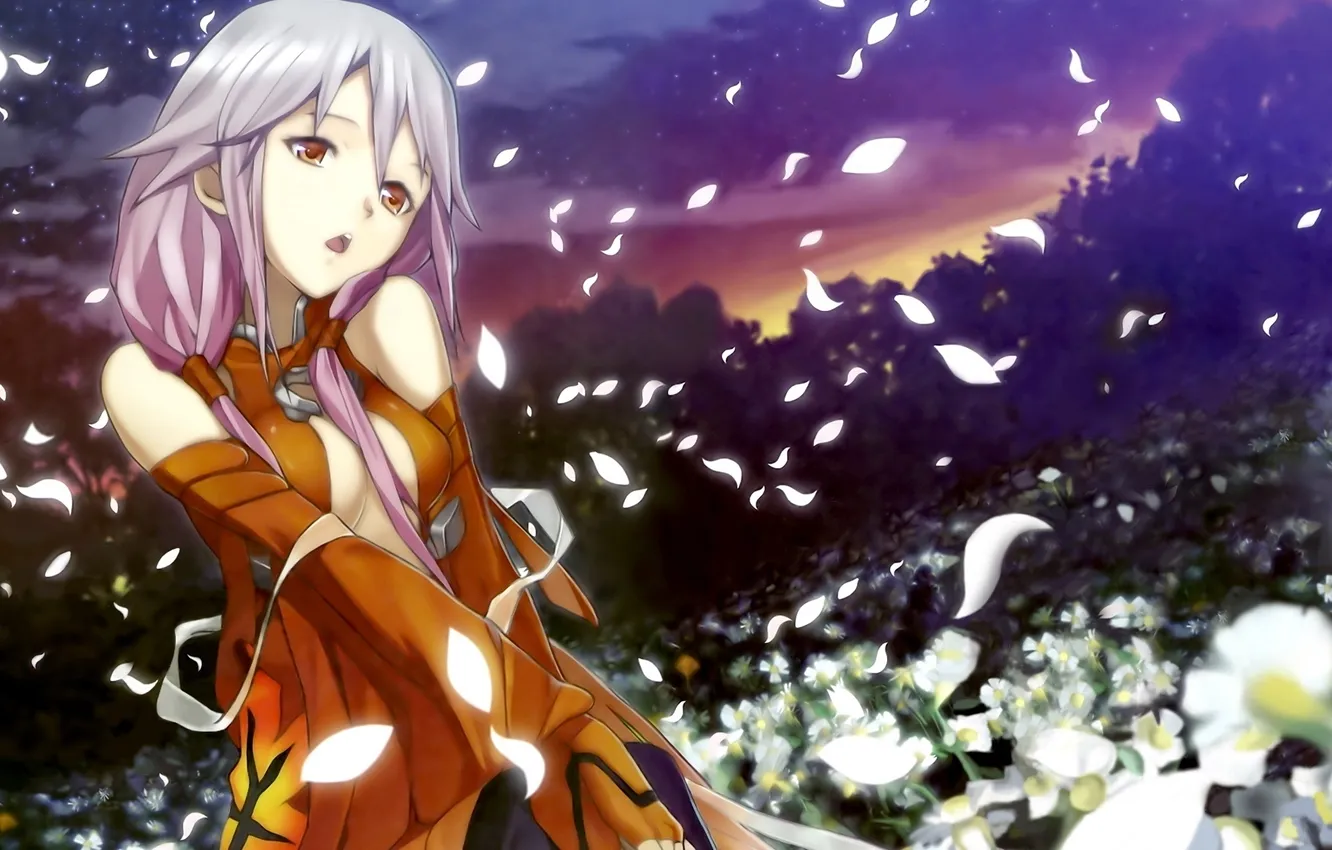 Photo wallpaper the sky, girl, stars, flowers, night, anime, petals, guilty crown