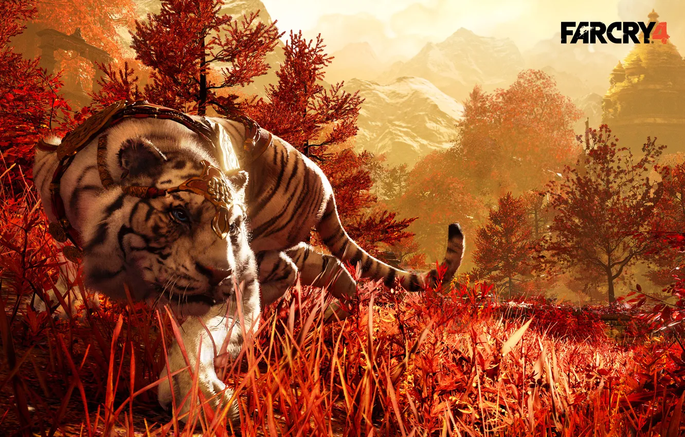 Photo wallpaper grass, tiger, predator, Companion, tiger, sneaks, Far Cry 4, shangrila