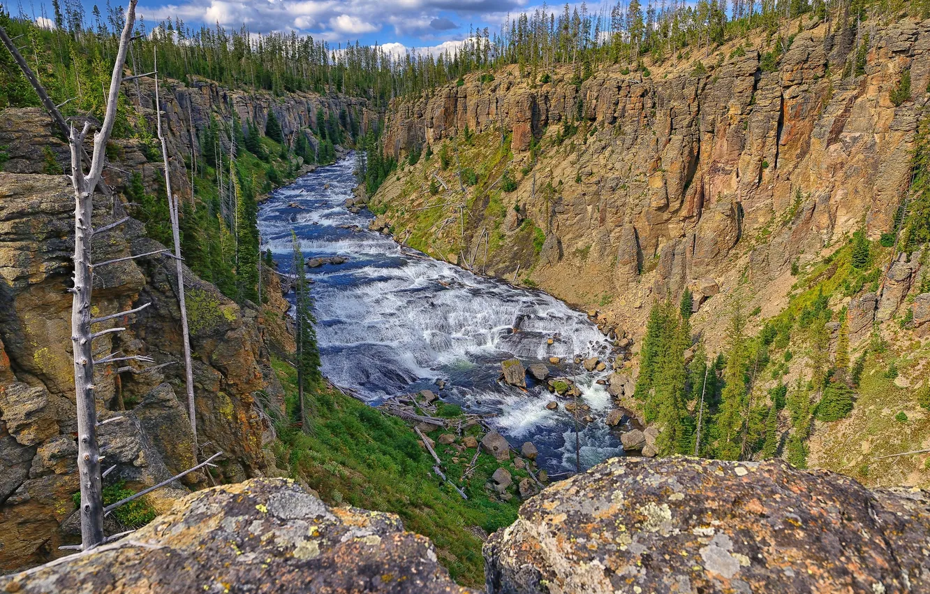Photo wallpaper the sky, trees, mountains, river, rocks