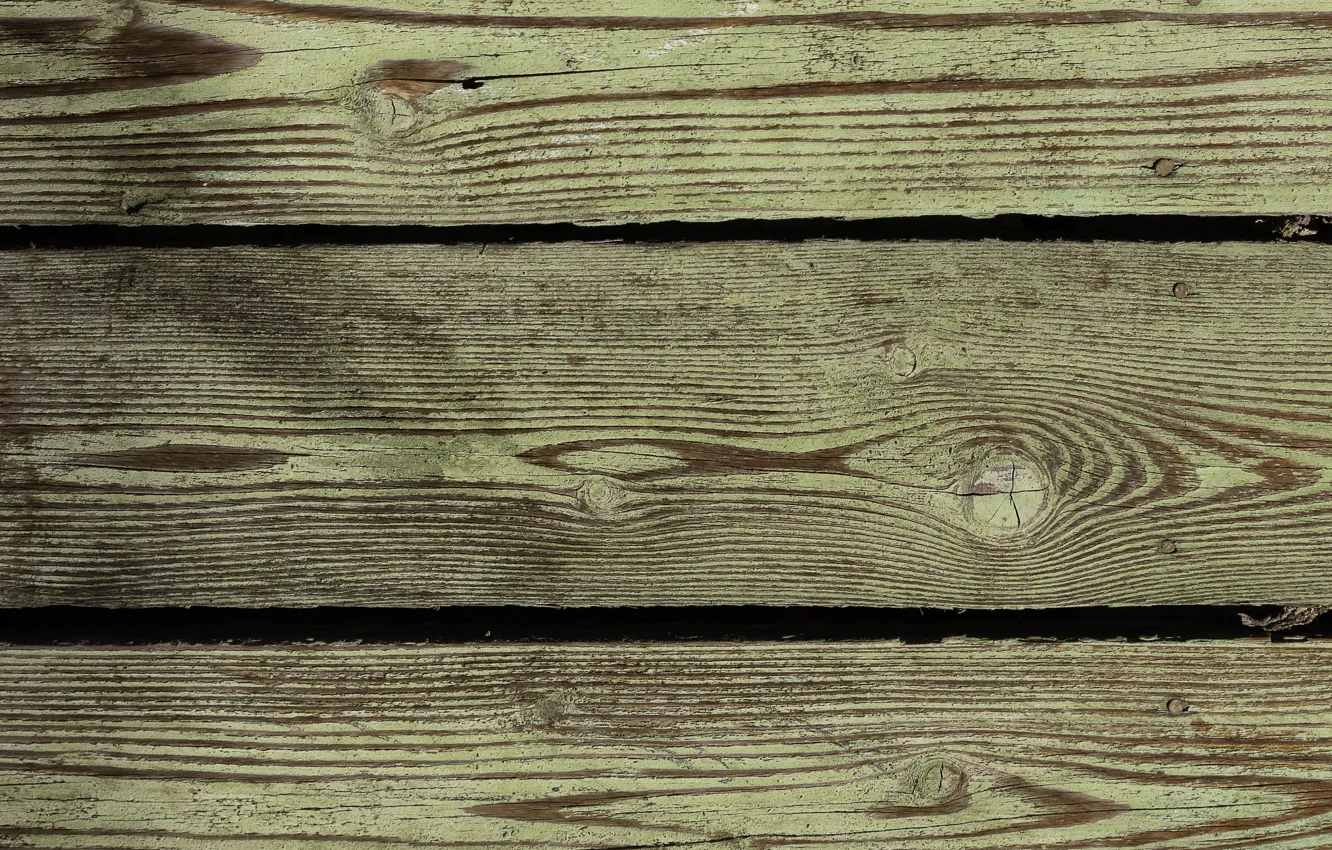 Photo wallpaper trees, Board, structure