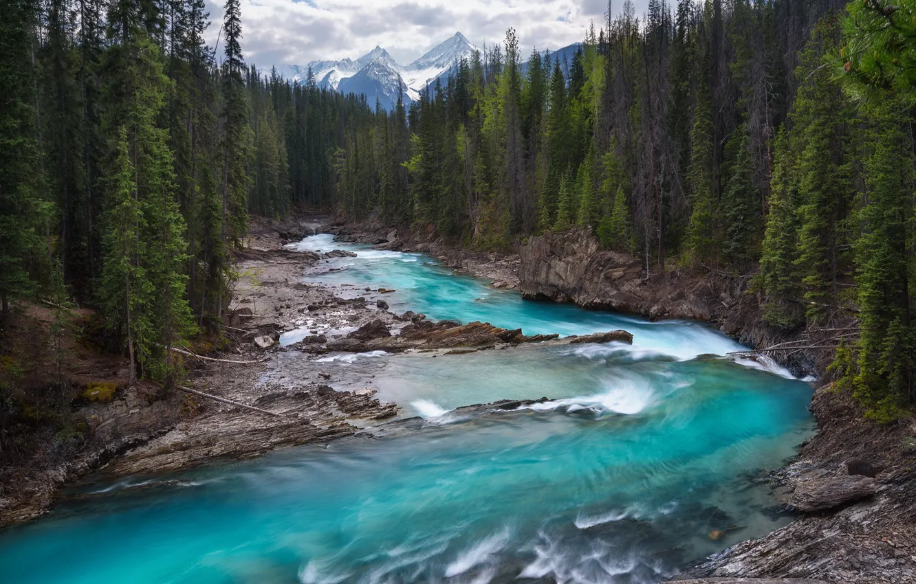 Photo wallpaper forest, mountains, river, rocks, stream, Canada