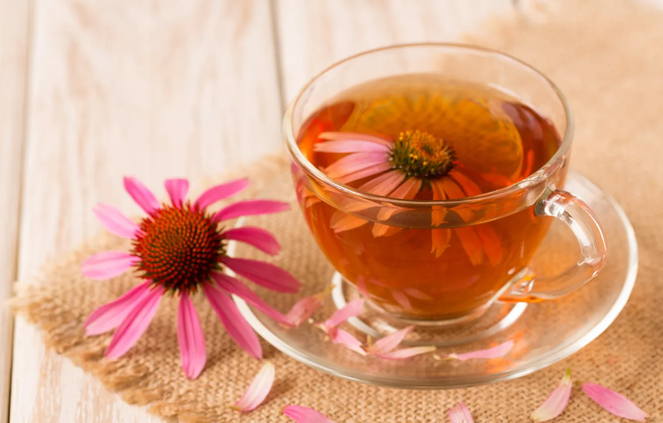 Photo wallpaper flowers, tea, petals, drink