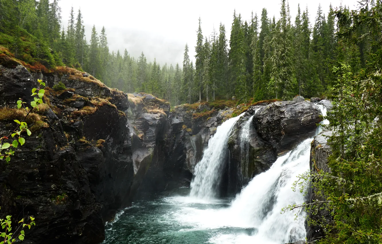 Photo wallpaper forest, river, waterfall