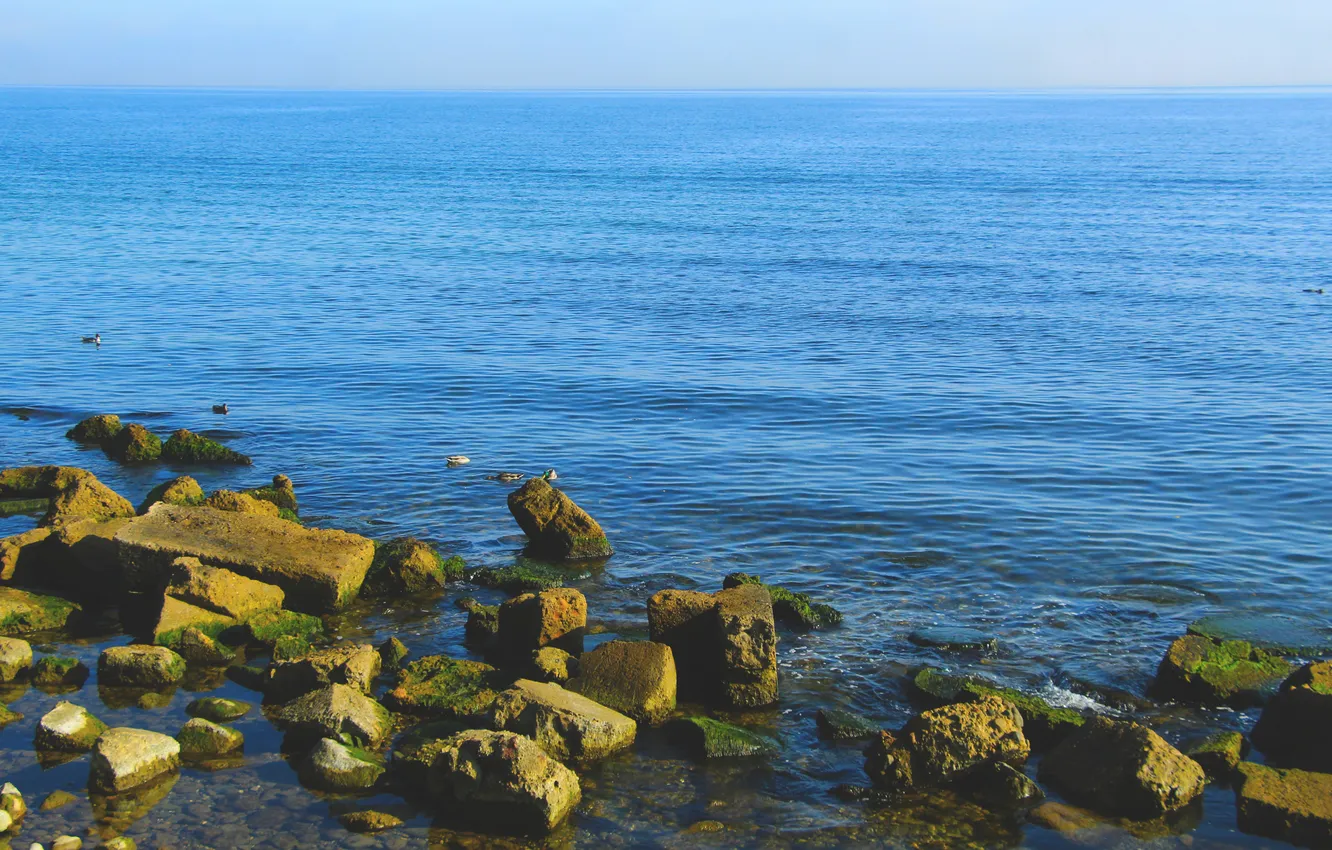 Photo wallpaper sea, water, stones
