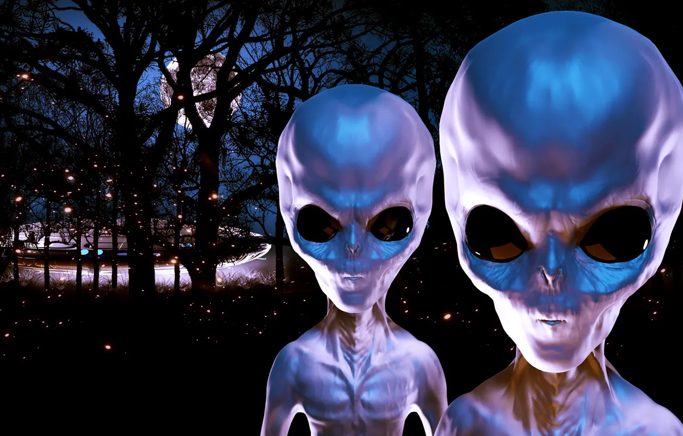 Photo wallpaper eyes, look, face, grey, fiction, skull, monster, alien