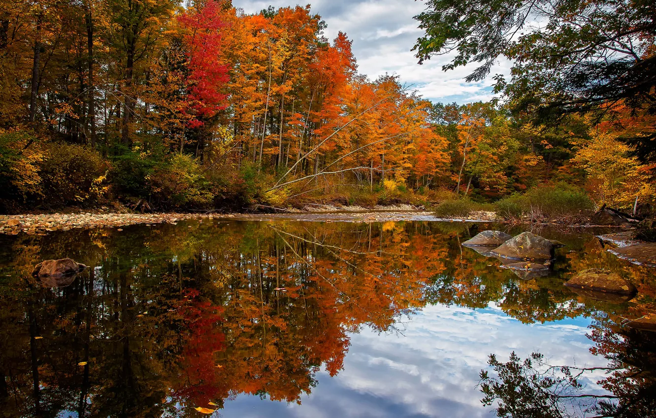 Photo wallpaper autumn, forest, clouds, trees, river, stones, USA, Maine