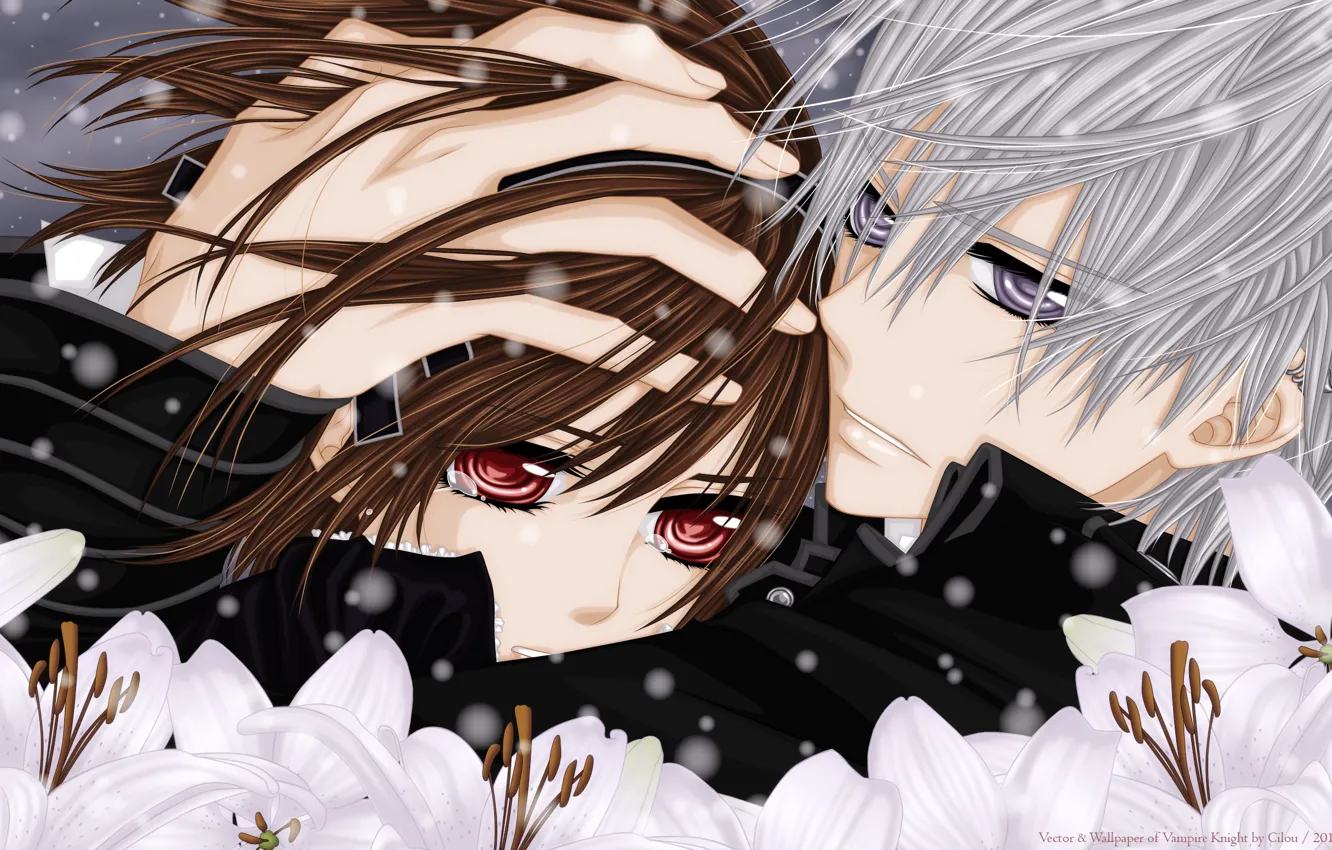 Photo wallpaper look, snow, flowers, tears, hugs, vampire knight, yuki, Zero
