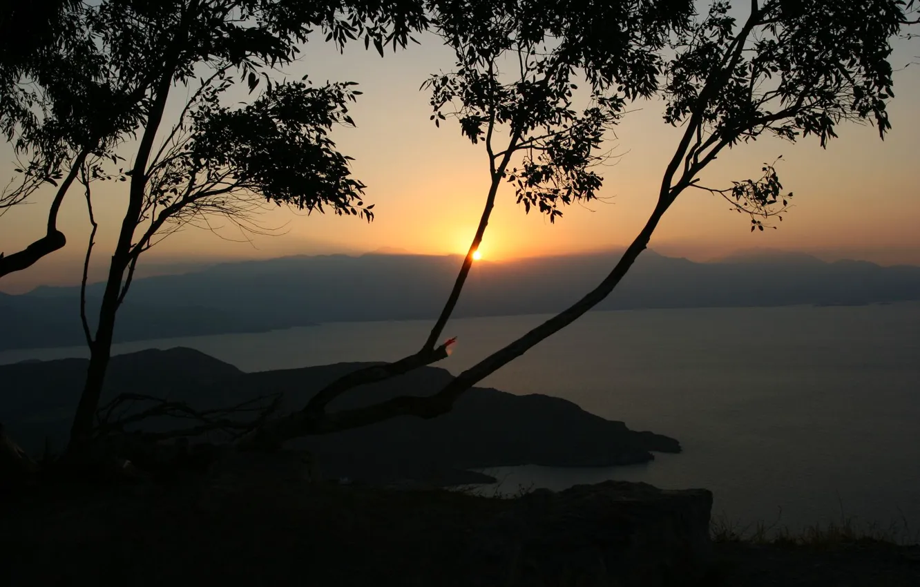 Photo wallpaper trees, sunset, lake, the evening