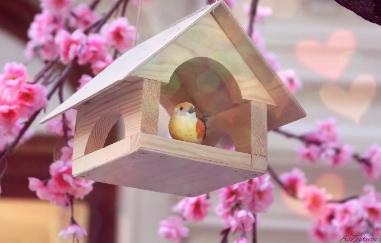 Photo wallpaper spring, gently, GUM