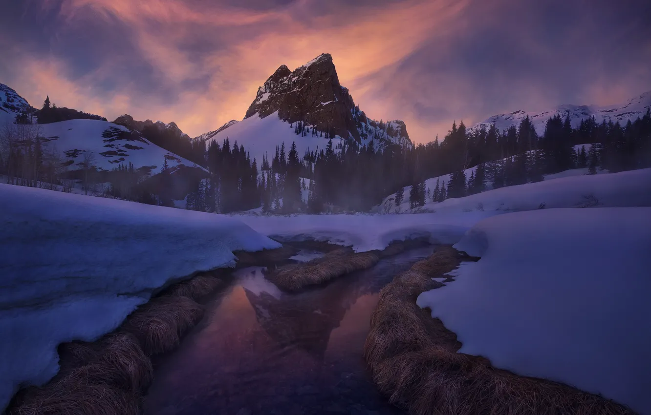 Photo wallpaper winter, forest, snow, river, mountain, the evening