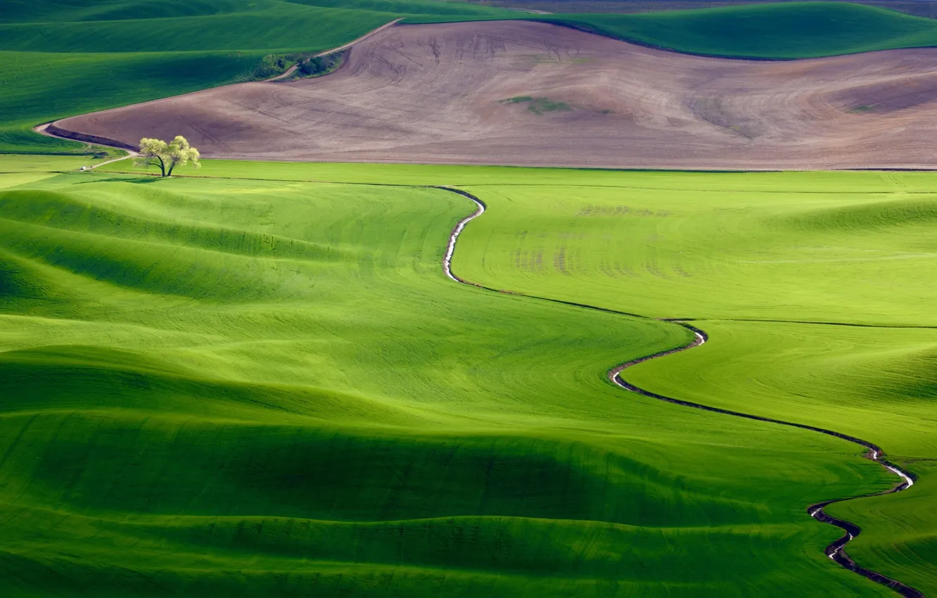 Photo wallpaper stream, meadow, meadow, stream