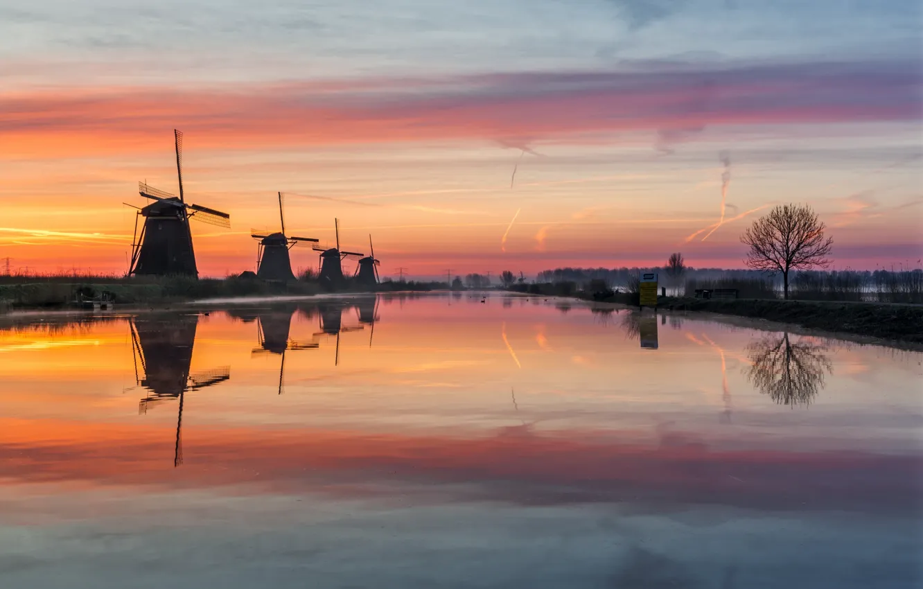 Photo wallpaper water, fog, the evening, morning, channel, haze, Netherlands, windmills