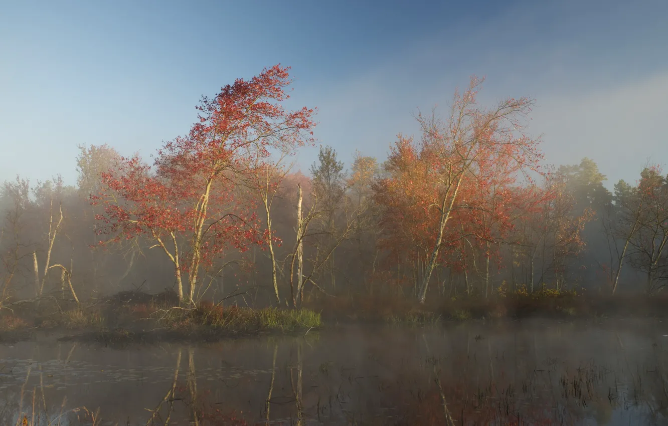 Photo wallpaper autumn, fog, lake