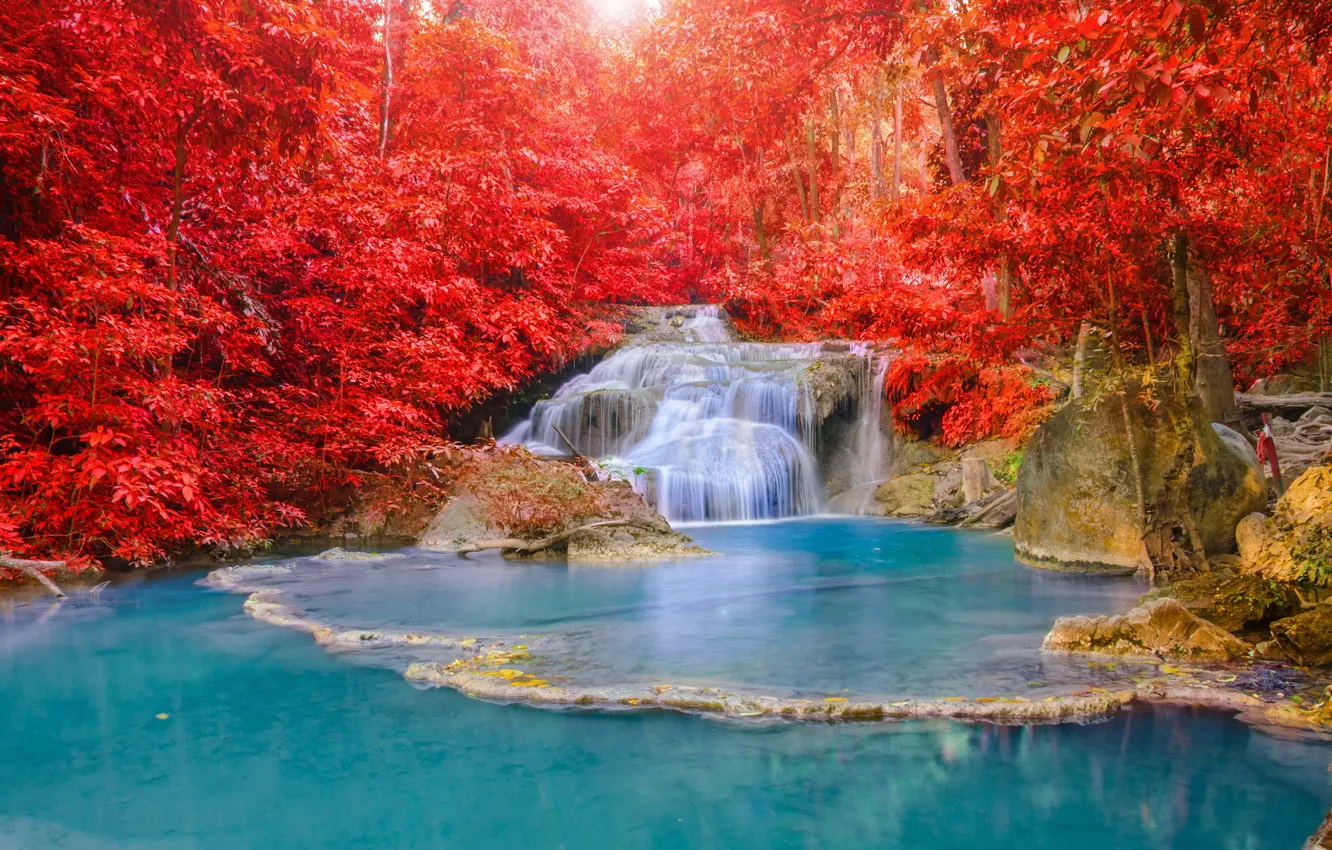 Photo wallpaper autumn, forest, water, light, nature, river, waterfall, beautiful
