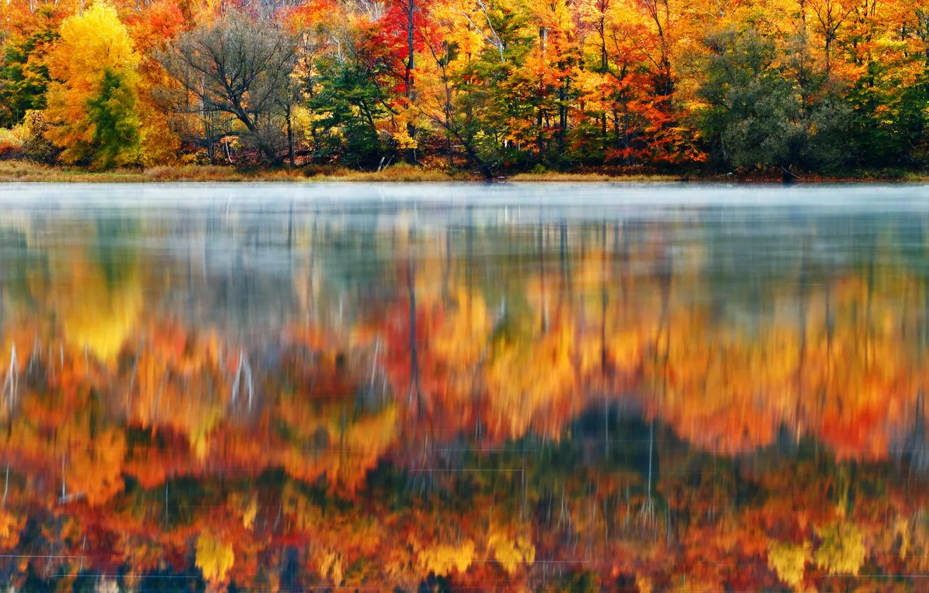 Photo wallpaper forest, nature, lake, paint, morning, USA, New England, New Hampshire