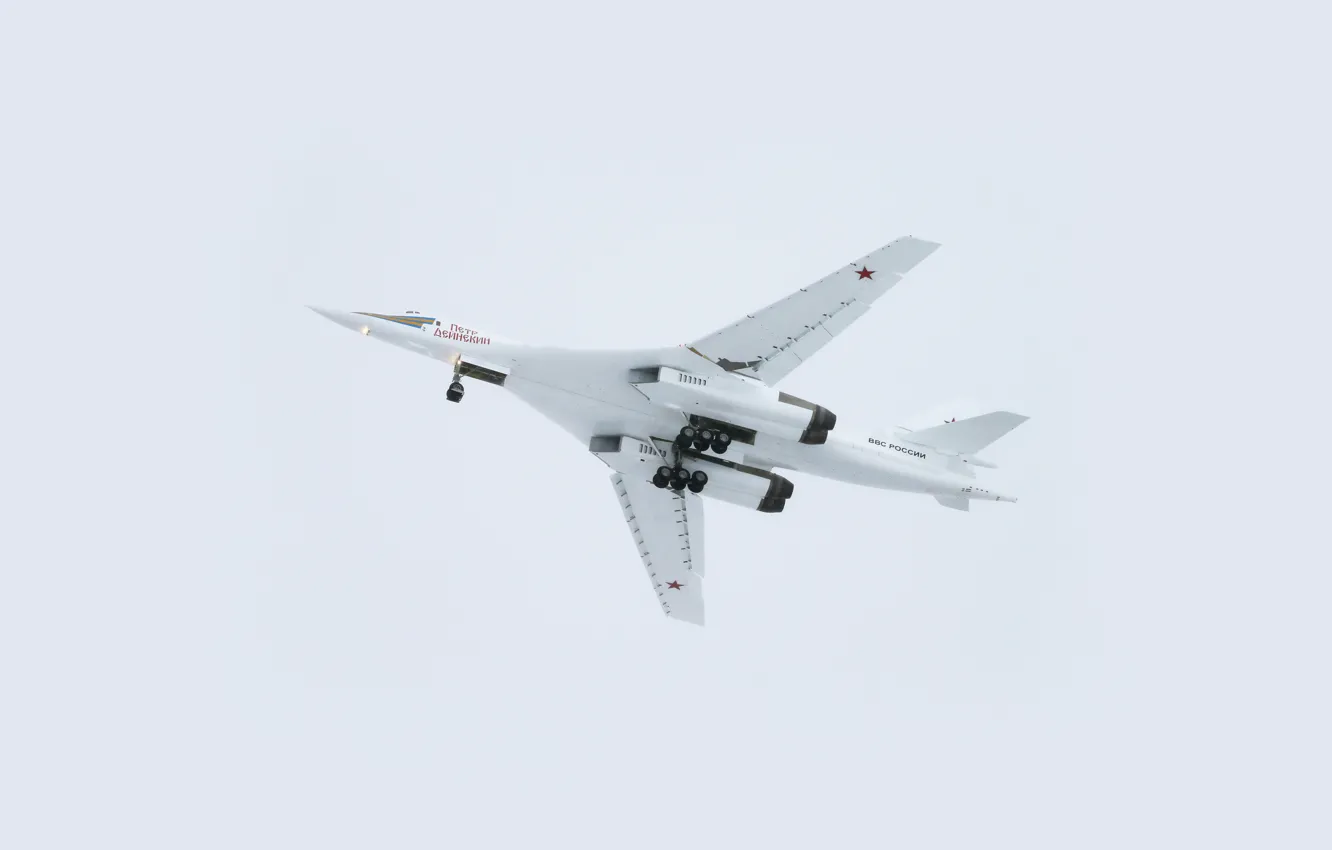 Photo wallpaper the sky, flight, aviation, USSR, Russia, bomber, the plane, swans