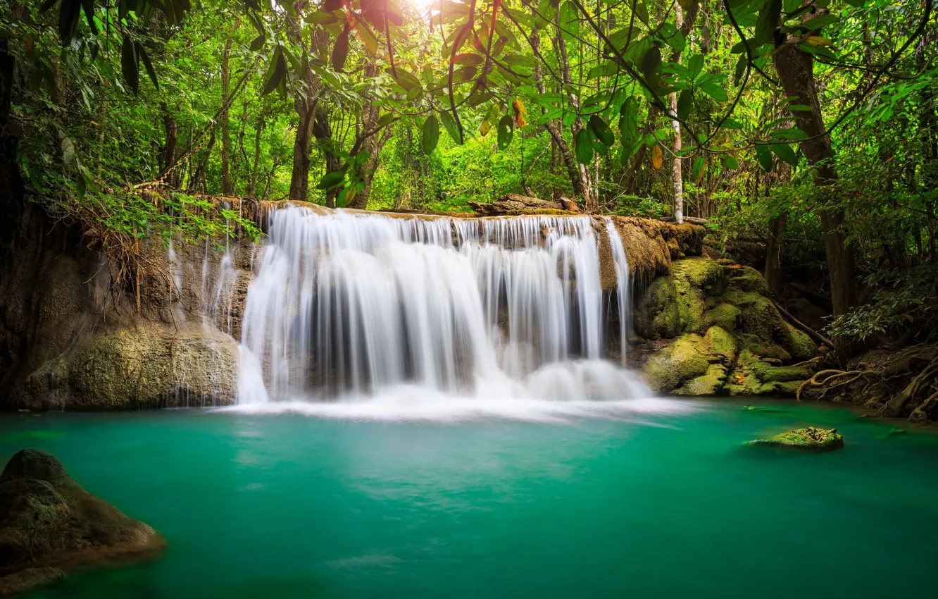 Photo wallpaper sea, the sky, leaves, clouds, trees, landscape, nature, waterfall