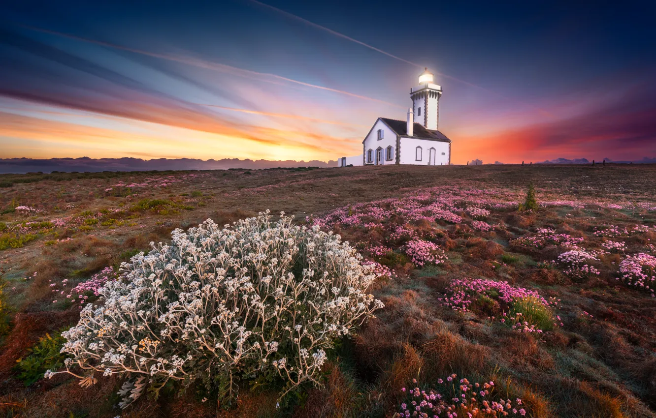 Photo wallpaper sunset, flowers, lighthouse