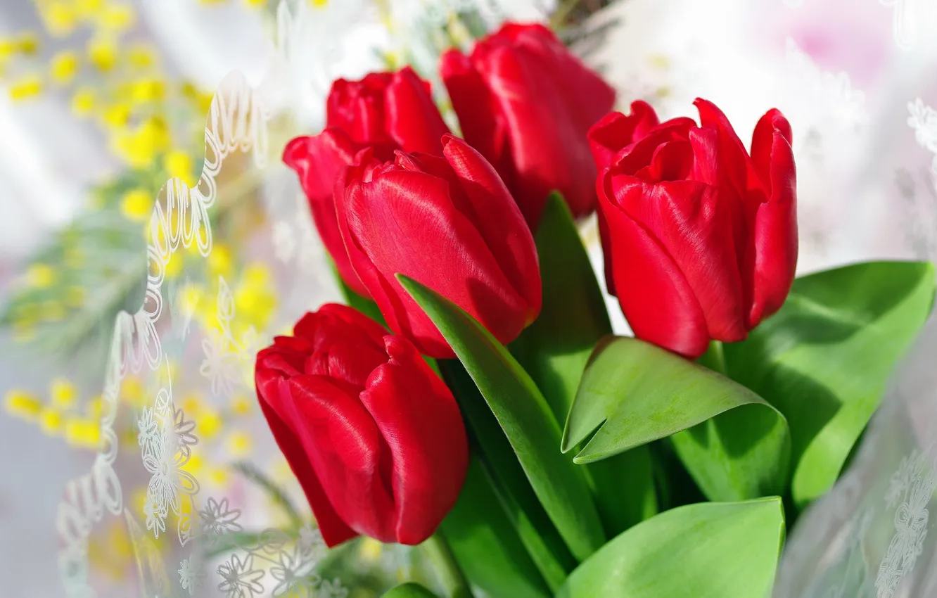 Photo wallpaper red, tulips, buds