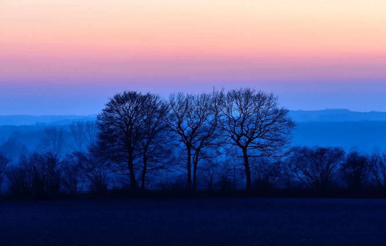 Photo wallpaper the sky, trees, sunset