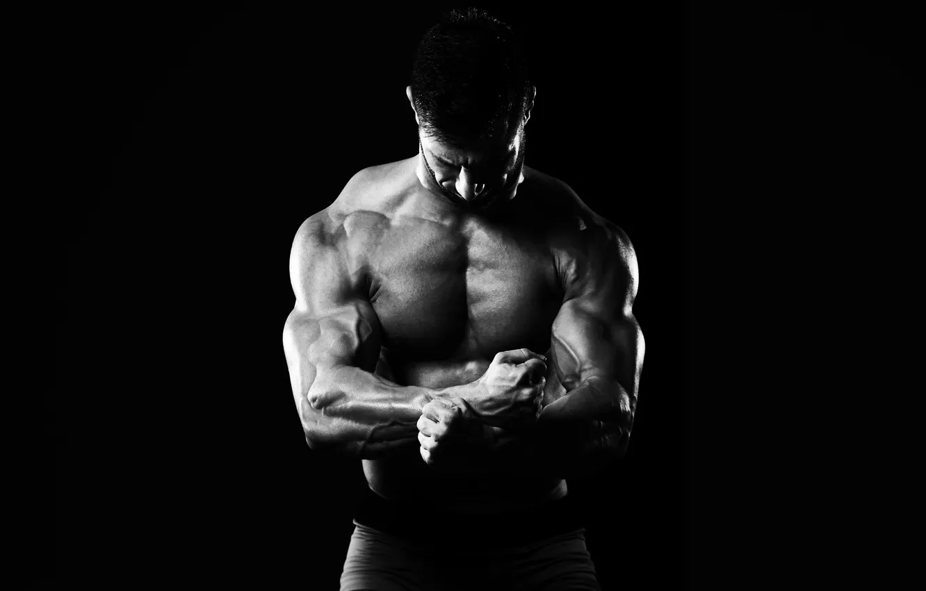 Photo wallpaper guy, gym, bodybuilding, caucasian, fit, bodybuilder, flexing muscles