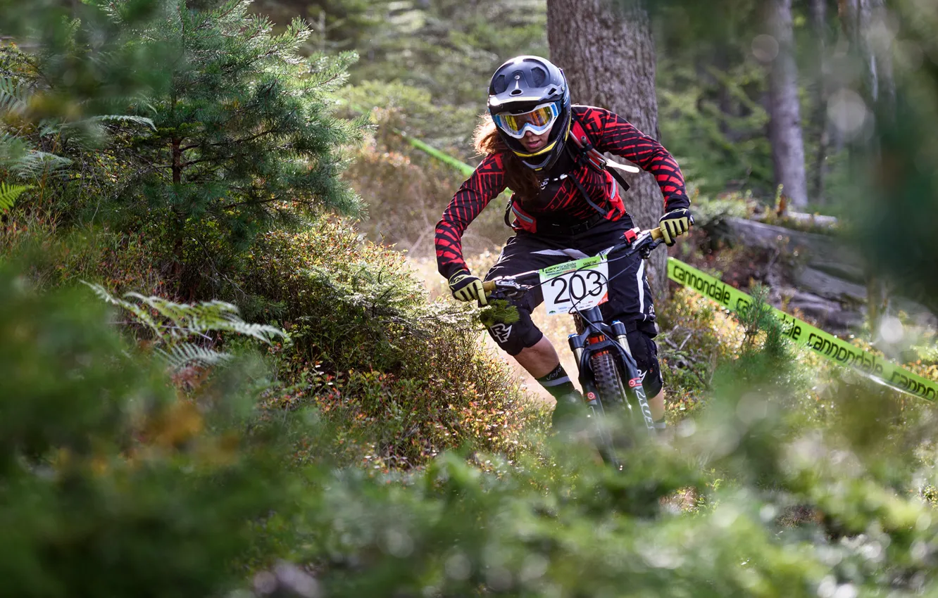 Photo wallpaper forest, track, tape, cyclist, Cannondale Enduro Tour