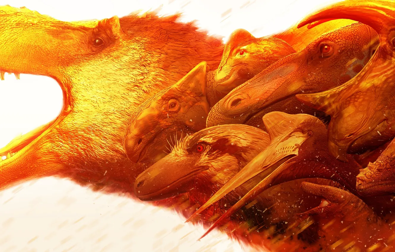 Photo wallpaper dinosaur, group, white background