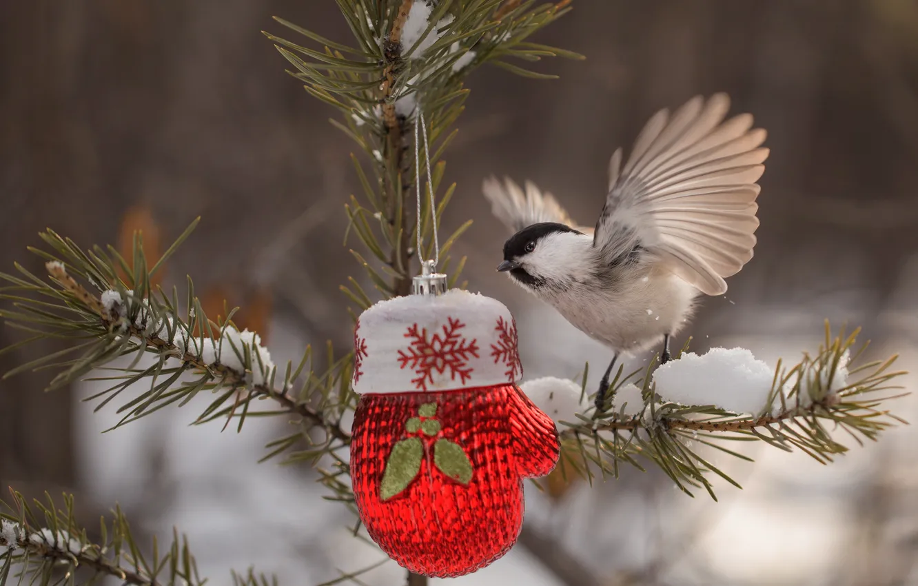 Photo wallpaper winter, branches, nature, toy, bird, needles, mittens, tit