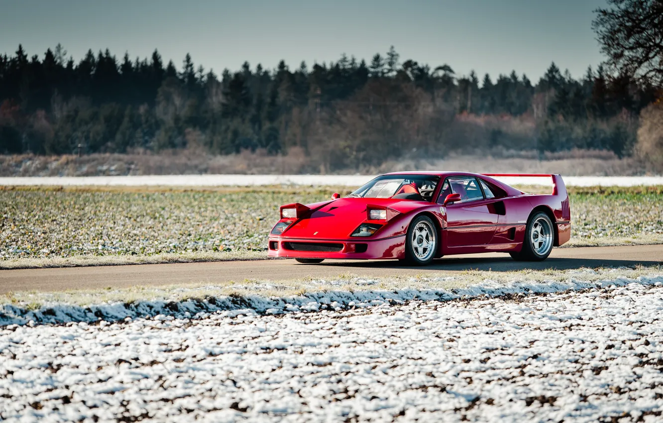 Photo wallpaper F40, Snow, Road