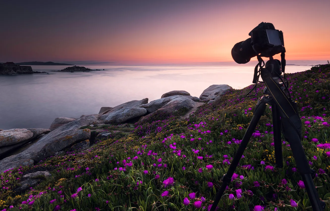 Photo wallpaper sea, the sky, sunset, flowers, stones, dawn, photography, shore