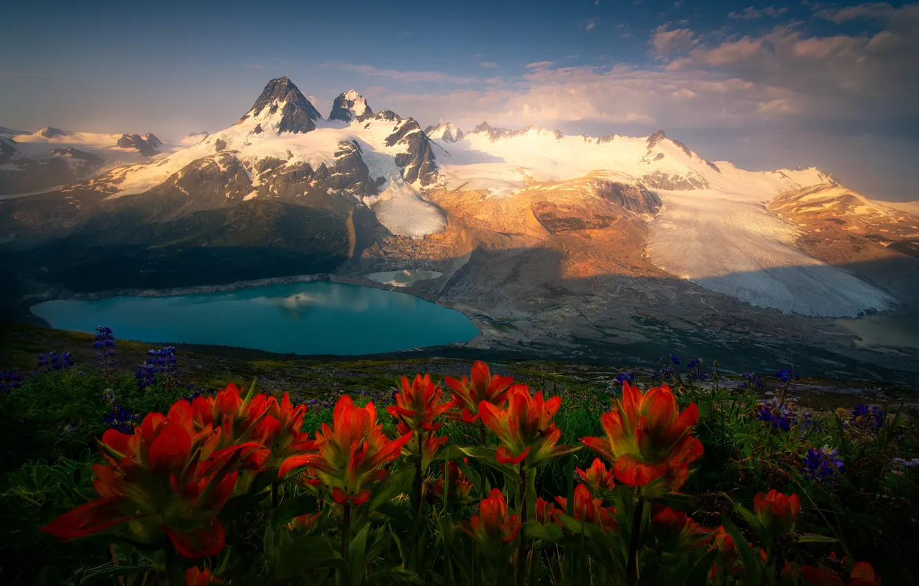 Photo wallpaper landscape, flowers, mountains, nature, lake, morning, Canada, glaciers