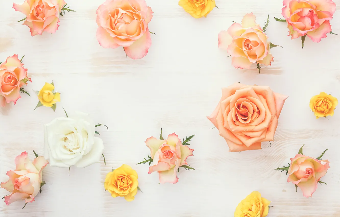 Photo wallpaper wood, flowers, roses
