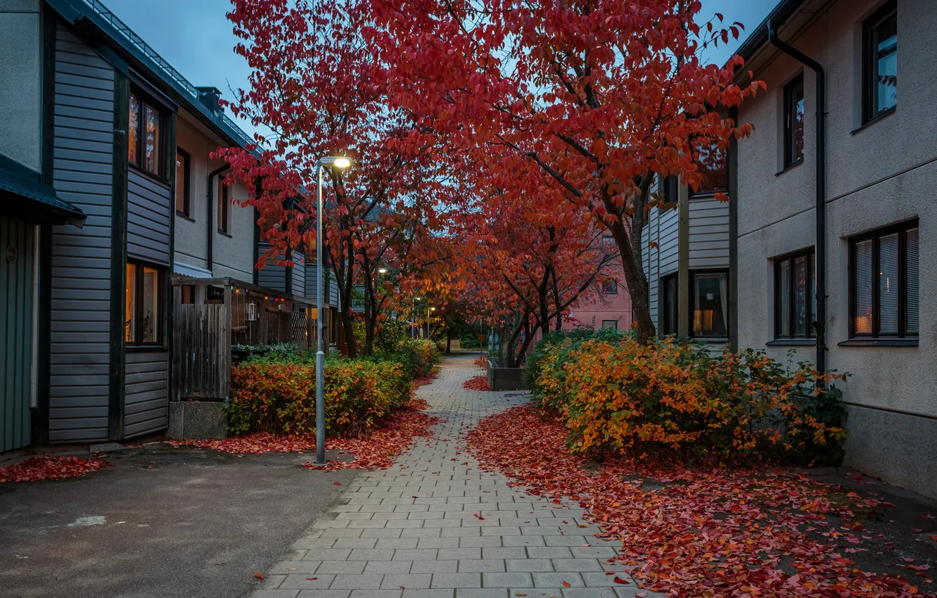 Photo wallpaper autumn, leaves, trees, lights, street, home, the evening, lights