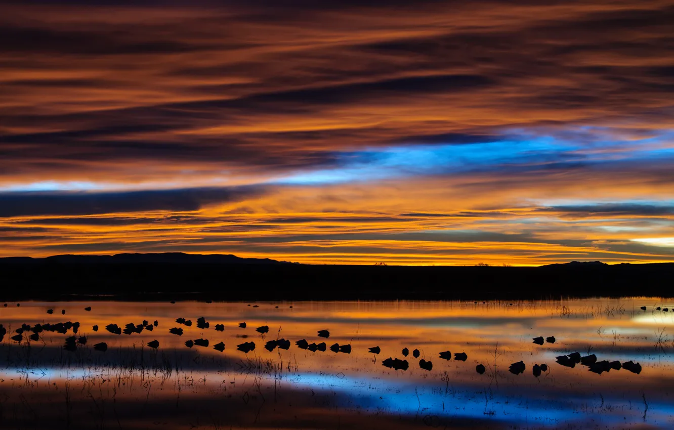 Photo wallpaper the sky, clouds, birds, lake, reflection, dawn, morning, USA