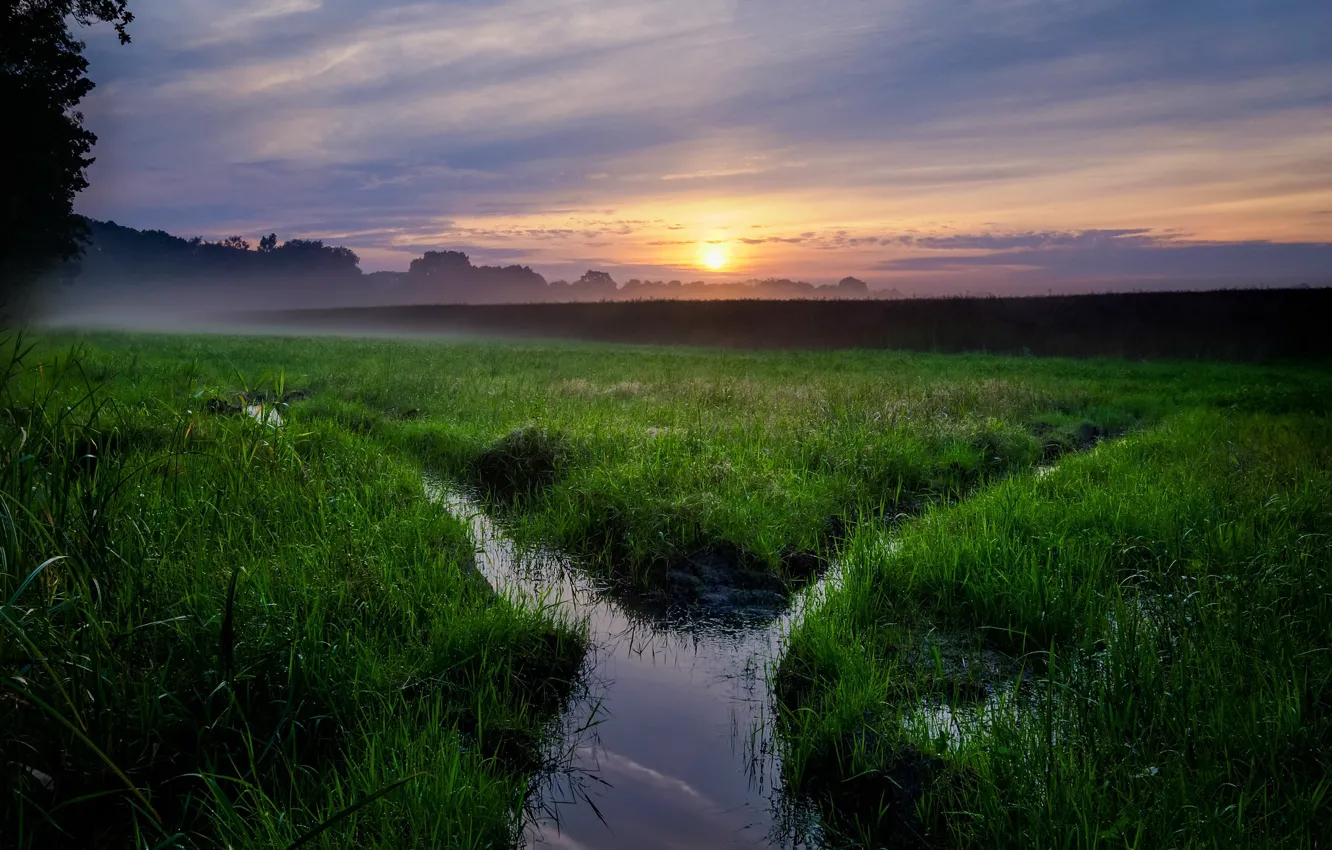 Photo wallpaper field, sunset, fog