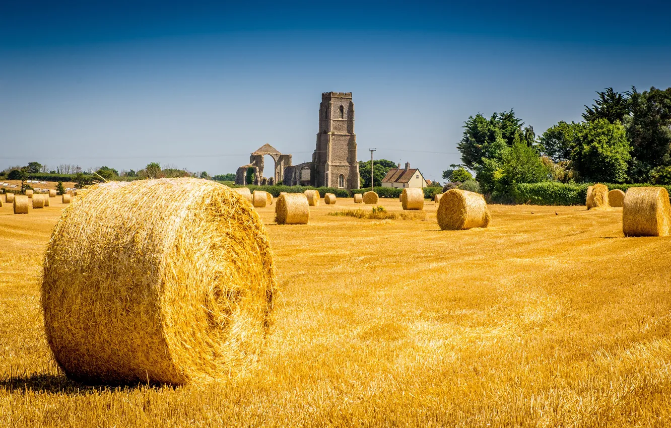 Photo wallpaper field, the sky, the sun, trees, England, tower, hay, house
