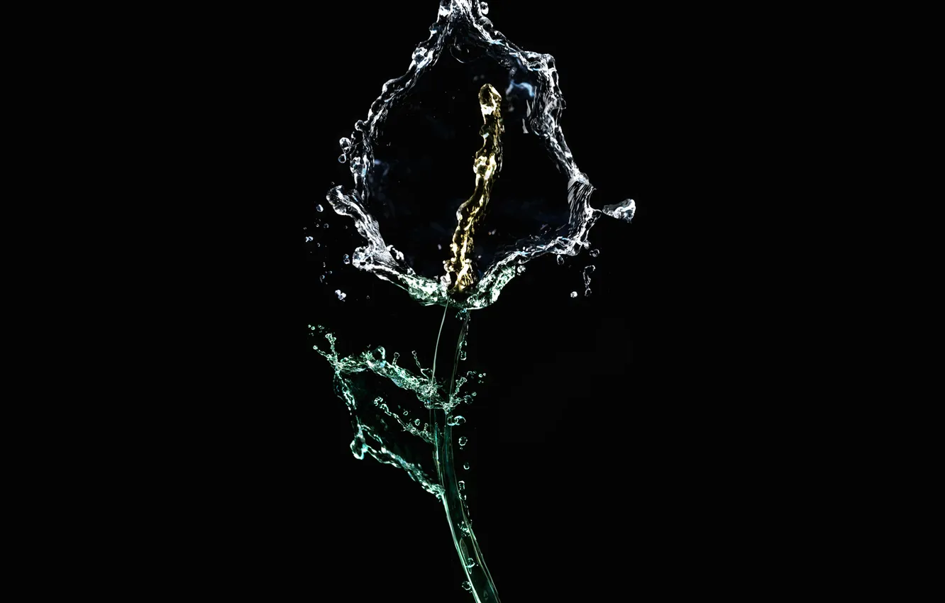Photo wallpaper water, flowers, creative, black