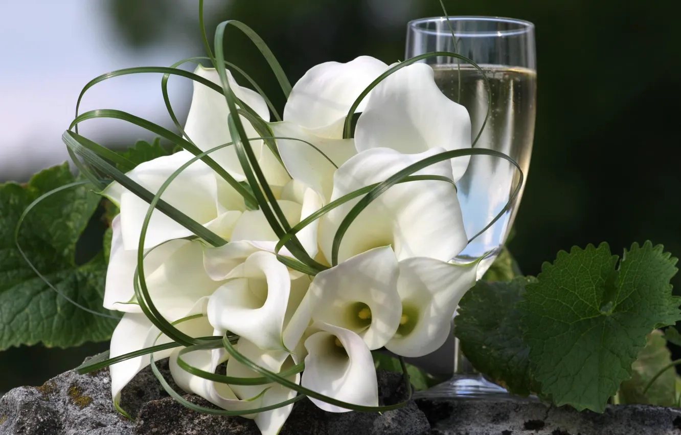 Photo wallpaper holiday, wine, glass, bouquet, champagne, wedding, Calla lilies, bucket