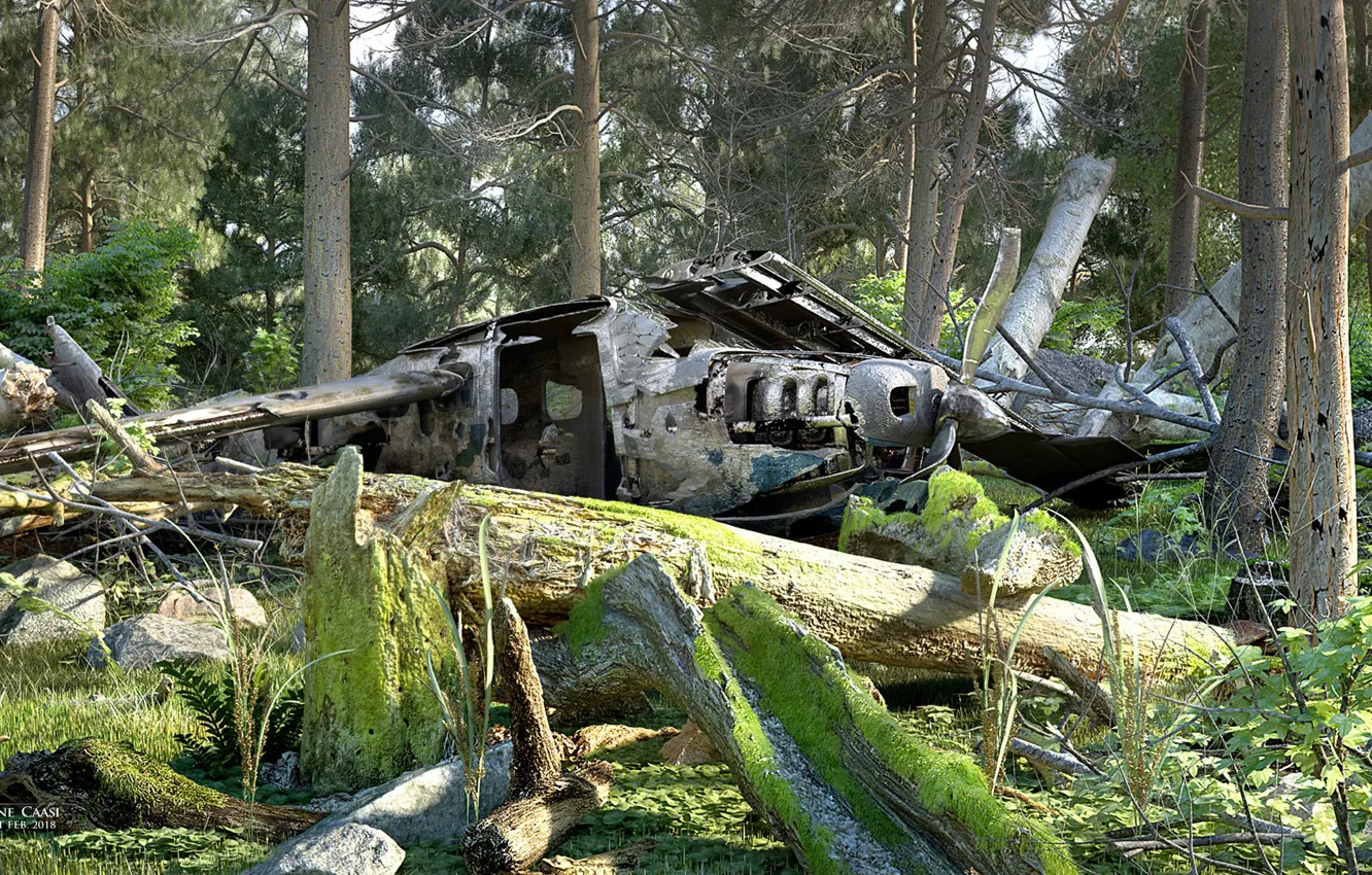 Photo wallpaper forest, the wreckage, disaster, Crash Site, The jungle