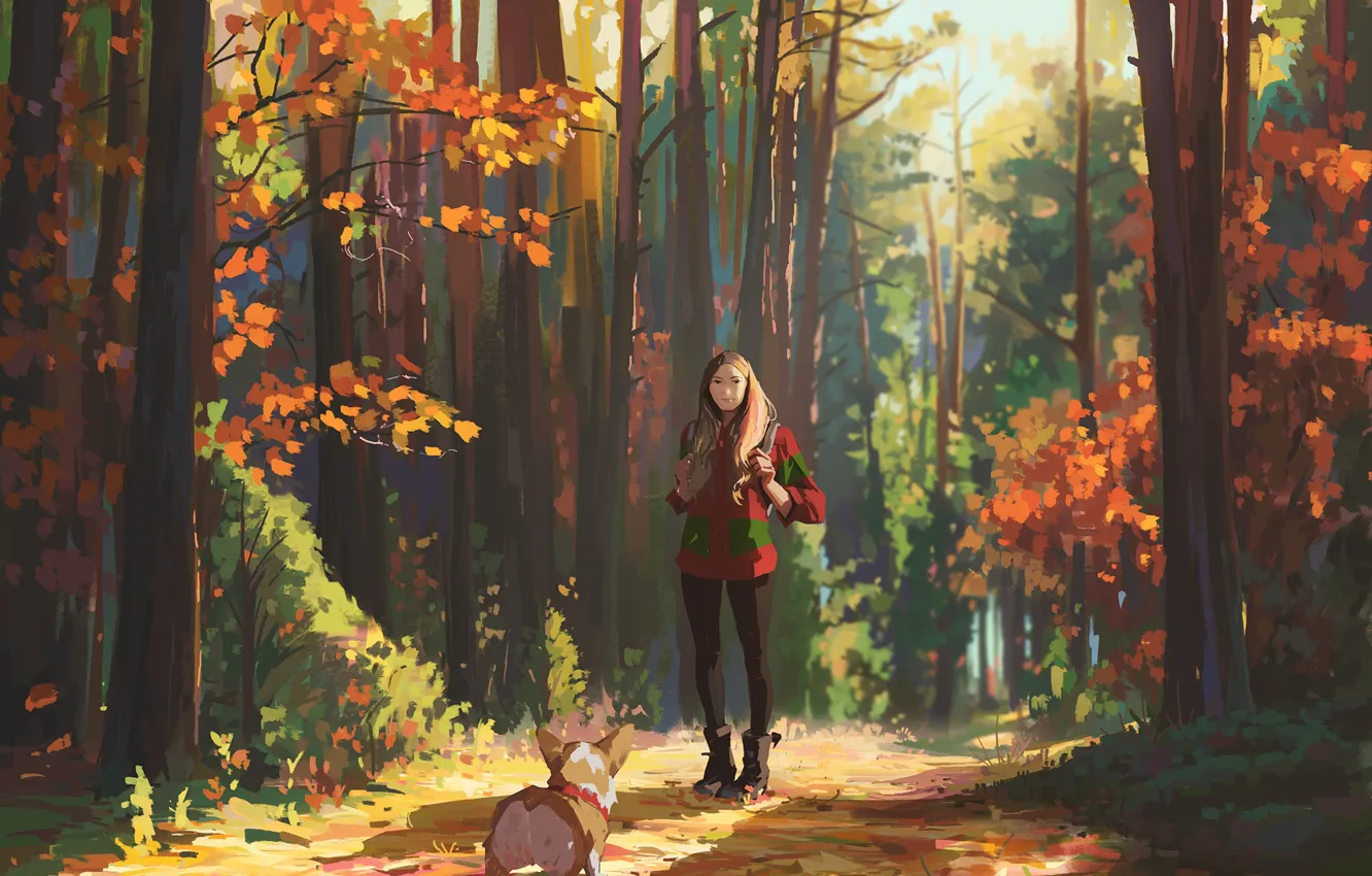 Photo wallpaper autumn, forest, girl, walk, Corgi