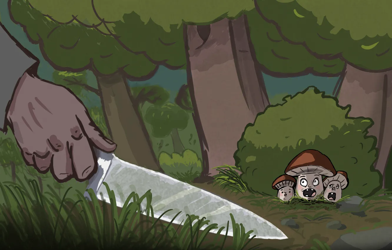 Photo wallpaper nature, mushrooms, knife, mushroom