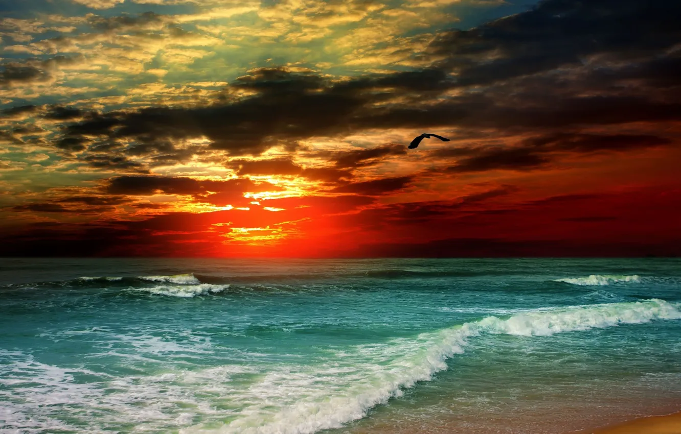 Photo wallpaper sea, wave, the sky, sunset, clouds, storm, bird, storm