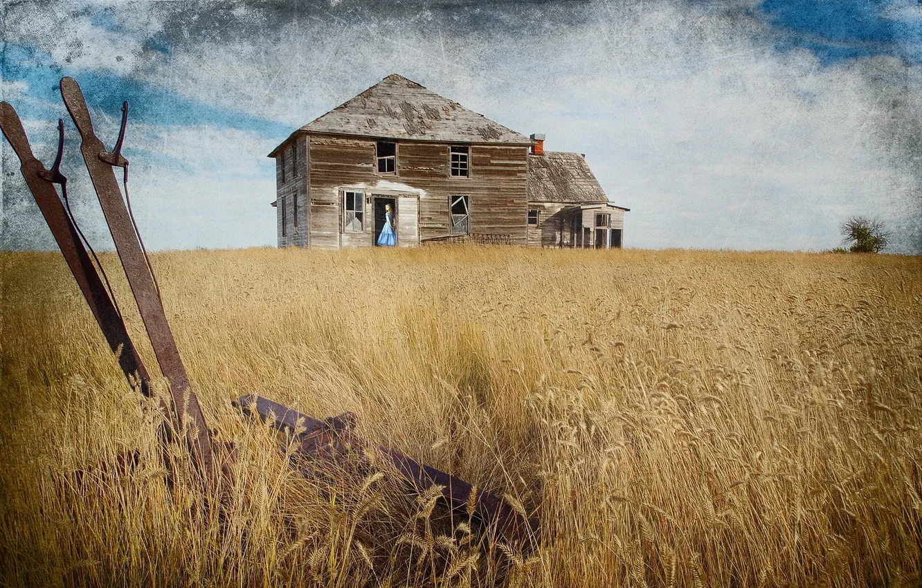 Photo wallpaper field, girl, style, home