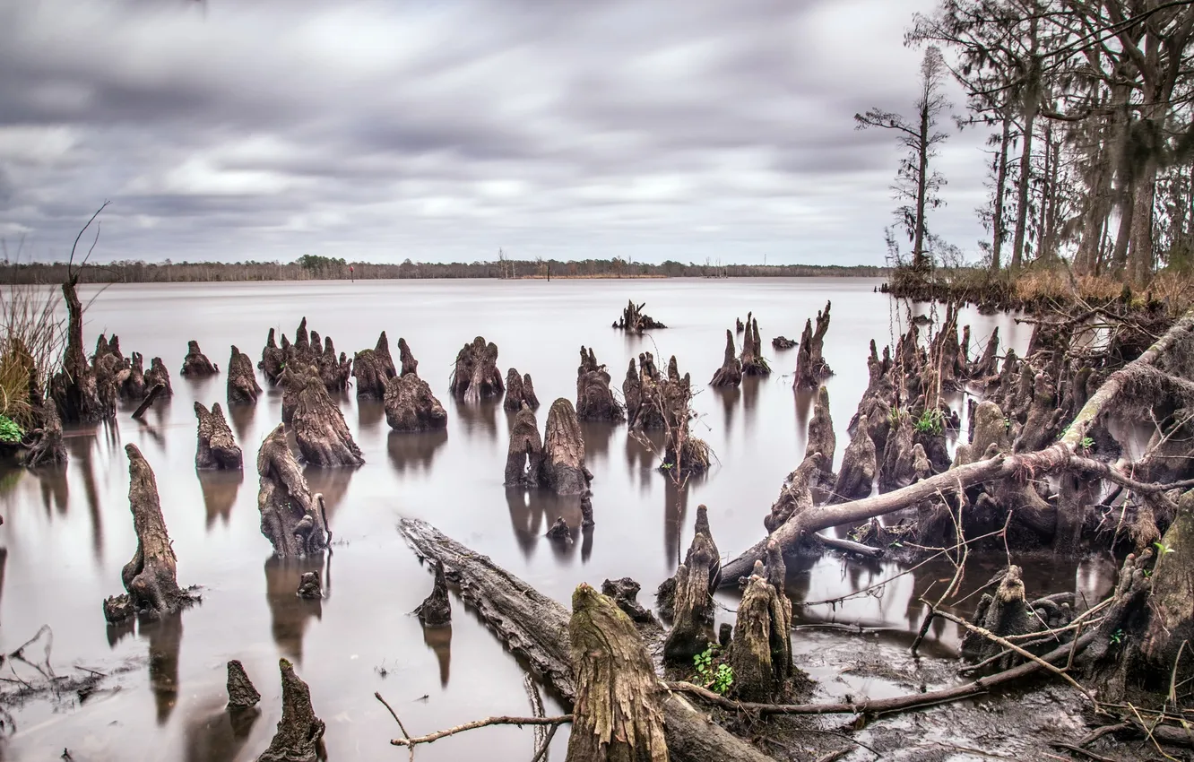 Photo wallpaper trees, landscape, nature, lake