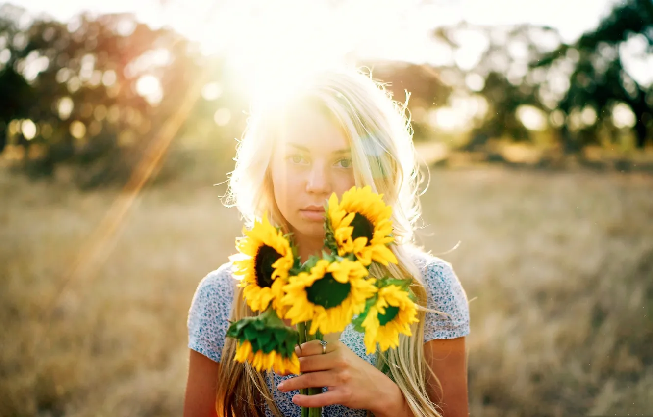 Photo wallpaper rays, light, sunflowers, flowers, blonde